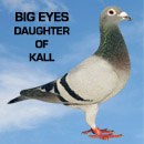 Daughter of Kall