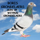 Boris Grondelaers