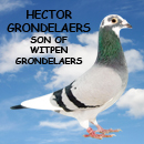 Hector Grondelaers