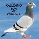 Kalliano