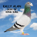Kally Alan