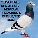King Kall - Sire of 5 x 1st Individual Winners of Club/Fed. 2006