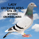 Lady Grondelaers