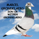 Marcel Grondelaers