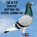 De 673 - Son of Witten'93 x Dtr. Jonge As