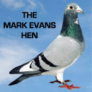 The Mark Evans Hen