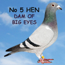 No 5 Hen