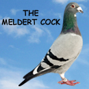 The Meldert Cock